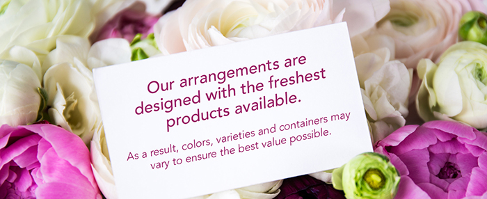 BLN_4024_GEN_BAN_700x294_FNL